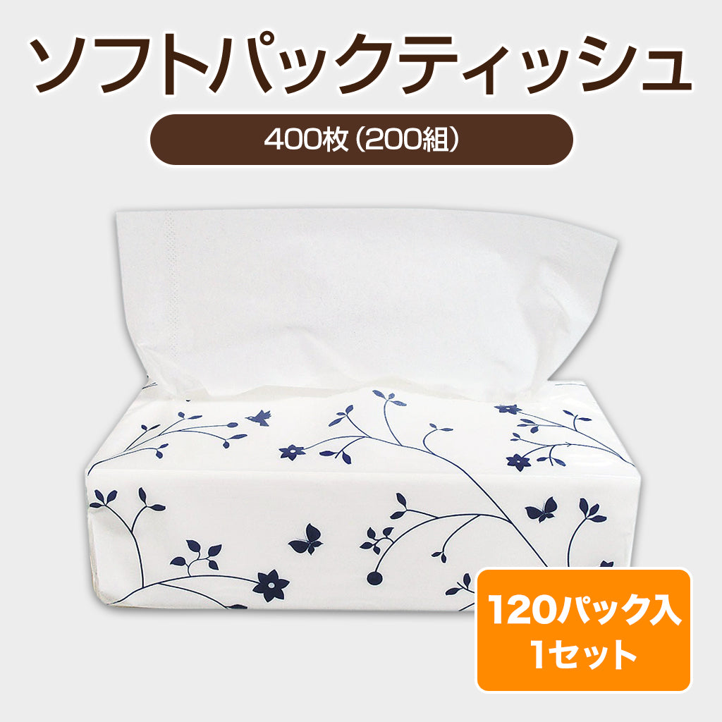 ソフトパックティッシュ【400枚200組×120パック】