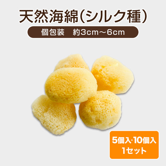 天然海綿（シルク種）【5個・10個】